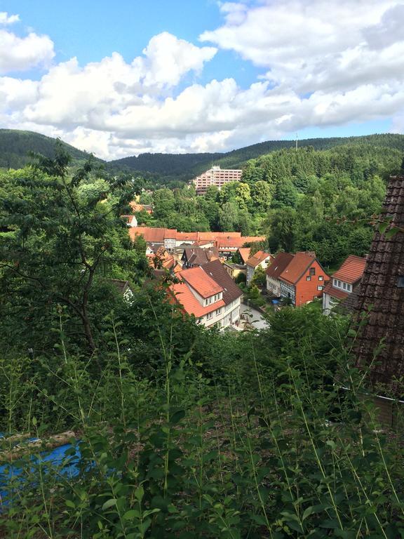 Ferienwohnung Zur Alten Post Bad Grund Extérieur photo