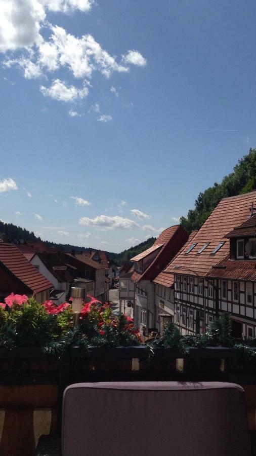 Ferienwohnung Zur Alten Post Bad Grund Extérieur photo
