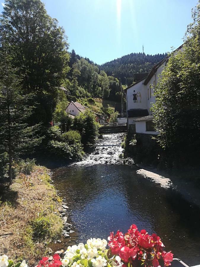 Ferienwohnung Zur Alten Post Bad Grund Extérieur photo